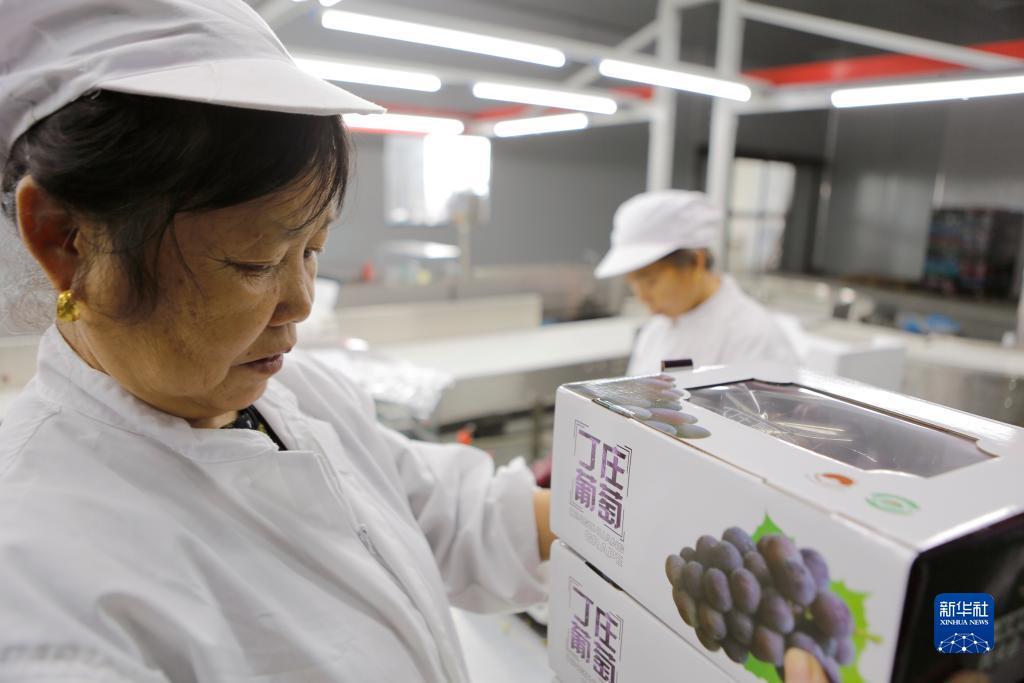 十大送彩金